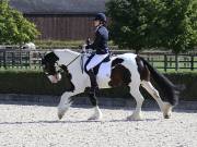 Image 98 in OPTIMUM EVENT MANAGEMENT. DRESSAGE. EASTON PARK STUD. 25TH AUGUST 2018