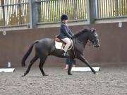 Image 104 in WORLD HORSE WELFARE. DRESSAGE. 1ST SEPTEMBER 2018.