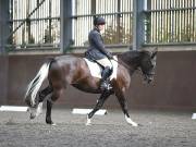 Image 111 in WORLD HORSE WELFARE. DRESSAGE. 1ST SEPTEMBER 2018.