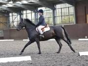 Image 112 in WORLD HORSE WELFARE. DRESSAGE. 1ST SEPTEMBER 2018.