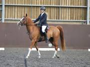 Image 115 in WORLD HORSE WELFARE. DRESSAGE. 1ST SEPTEMBER 2018.