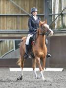 Image 117 in WORLD HORSE WELFARE. DRESSAGE. 1ST SEPTEMBER 2018.