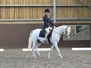 Image 120 in WORLD HORSE WELFARE. DRESSAGE. 1ST SEPTEMBER 2018.