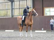 Image 121 in WORLD HORSE WELFARE. DRESSAGE. 1ST SEPTEMBER 2018.