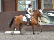 Image 127 in WORLD HORSE WELFARE. DRESSAGE. 1ST SEPTEMBER 2018.