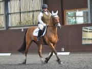 Image 13 in WORLD HORSE WELFARE. DRESSAGE. 1ST SEPTEMBER 2018.