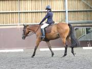 Image 132 in WORLD HORSE WELFARE. DRESSAGE. 1ST SEPTEMBER 2018.