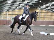 Image 140 in WORLD HORSE WELFARE. DRESSAGE. 1ST SEPTEMBER 2018.