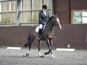 Image 15 in WORLD HORSE WELFARE. DRESSAGE. 1ST SEPTEMBER 2018.