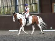 Image 152 in WORLD HORSE WELFARE. DRESSAGE. 1ST SEPTEMBER 2018.