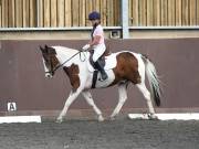 Image 153 in WORLD HORSE WELFARE. DRESSAGE. 1ST SEPTEMBER 2018.