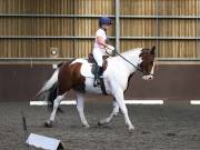 Image 156 in WORLD HORSE WELFARE. DRESSAGE. 1ST SEPTEMBER 2018.