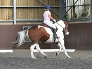 Image 162 in WORLD HORSE WELFARE. DRESSAGE. 1ST SEPTEMBER 2018.