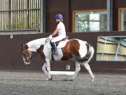 Image 167 in WORLD HORSE WELFARE. DRESSAGE. 1ST SEPTEMBER 2018.