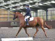 Image 18 in WORLD HORSE WELFARE. DRESSAGE. 1ST SEPTEMBER 2018.