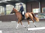 Image 22 in WORLD HORSE WELFARE. DRESSAGE. 1ST SEPTEMBER 2018.