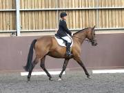 Image 23 in WORLD HORSE WELFARE. DRESSAGE. 1ST SEPTEMBER 2018.