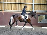 Image 25 in WORLD HORSE WELFARE. DRESSAGE. 1ST SEPTEMBER 2018.