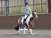 Image 3 in WORLD HORSE WELFARE. DRESSAGE. 1ST SEPTEMBER 2018.