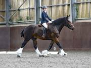 Image 35 in WORLD HORSE WELFARE. DRESSAGE. 1ST SEPTEMBER 2018.