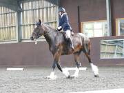 Image 40 in WORLD HORSE WELFARE. DRESSAGE. 1ST SEPTEMBER 2018.