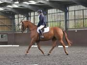 Image 42 in WORLD HORSE WELFARE. DRESSAGE. 1ST SEPTEMBER 2018.