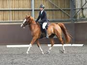 Image 45 in WORLD HORSE WELFARE. DRESSAGE. 1ST SEPTEMBER 2018.