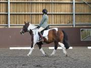 Image 54 in WORLD HORSE WELFARE. DRESSAGE. 1ST SEPTEMBER 2018.