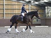 Image 57 in WORLD HORSE WELFARE. DRESSAGE. 1ST SEPTEMBER 2018.