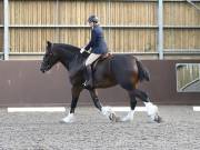 Image 61 in WORLD HORSE WELFARE. DRESSAGE. 1ST SEPTEMBER 2018.