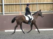 Image 65 in WORLD HORSE WELFARE. DRESSAGE. 1ST SEPTEMBER 2018.