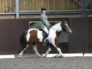 Image 67 in WORLD HORSE WELFARE. DRESSAGE. 1ST SEPTEMBER 2018.