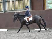 Image 76 in WORLD HORSE WELFARE. DRESSAGE. 1ST SEPTEMBER 2018.