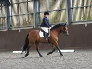 Image 80 in WORLD HORSE WELFARE. DRESSAGE. 1ST SEPTEMBER 2018.