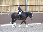 Image 88 in WORLD HORSE WELFARE. DRESSAGE. 1ST SEPTEMBER 2018.