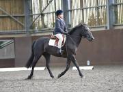 Image 95 in WORLD HORSE WELFARE. DRESSAGE. 1ST SEPTEMBER 2018.