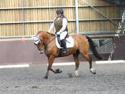 Image 96 in WORLD HORSE WELFARE. DRESSAGE. 1ST SEPTEMBER 2018.