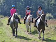 Image 34 in IPSWICH HORSE SOCIETY. CHARITY PLEASURE RIDE. 2ND SEPTEMBER 2018