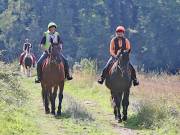 Image 40 in IPSWICH HORSE SOCIETY. CHARITY PLEASURE RIDE. 2ND SEPTEMBER 2018