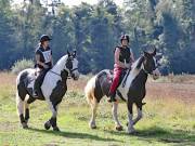 Image 53 in IPSWICH HORSE SOCIETY. CHARITY PLEASURE RIDE. 2ND SEPTEMBER 2018