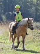 Image 61 in IPSWICH HORSE SOCIETY. CHARITY PLEASURE RIDE. 2ND SEPTEMBER 2018