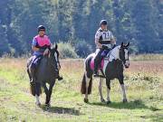 Image 67 in IPSWICH HORSE SOCIETY. CHARITY PLEASURE RIDE. 2ND SEPTEMBER 2018