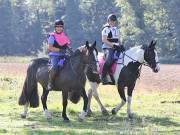 Image 79 in IPSWICH HORSE SOCIETY. CHARITY PLEASURE RIDE. 2ND SEPTEMBER 2018