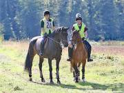 Image 80 in IPSWICH HORSE SOCIETY. CHARITY PLEASURE RIDE. 2ND SEPTEMBER 2018