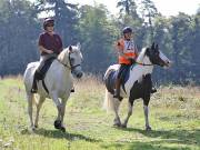 Image 87 in IPSWICH HORSE SOCIETY. CHARITY PLEASURE RIDE. 2ND SEPTEMBER 2018