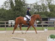 Image 100 in BROADLAND EQUESTRIAN CENTRE. DRESSAGE. 8TH SEPTEMBER 2018