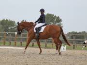 Image 104 in BROADLAND EQUESTRIAN CENTRE. DRESSAGE. 8TH SEPTEMBER 2018