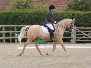 Image 117 in BROADLAND EQUESTRIAN CENTRE. DRESSAGE. 8TH SEPTEMBER 2018