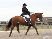 Image 122 in BROADLAND EQUESTRIAN CENTRE. DRESSAGE. 8TH SEPTEMBER 2018