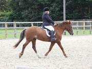 Image 123 in BROADLAND EQUESTRIAN CENTRE. DRESSAGE. 8TH SEPTEMBER 2018